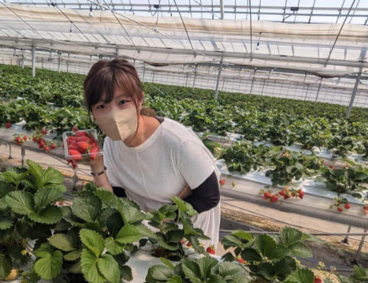 ヒアリング・アイデア創出